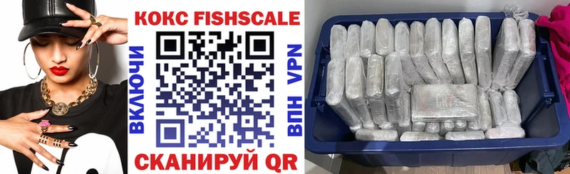 как найти закладки  Гатчина  Кокаин Fish Scale 