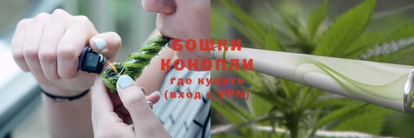 ПСИЛОЦИБИНОВЫЕ ГРИБЫ Баксан