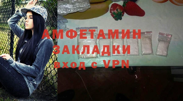 ПСИЛОЦИБИНОВЫЕ ГРИБЫ Баксан