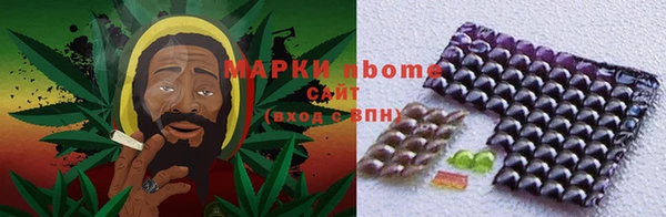 ПСИЛОЦИБИНОВЫЕ ГРИБЫ Баксан