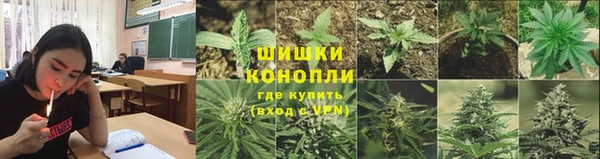 ПСИЛОЦИБИНОВЫЕ ГРИБЫ Баксан