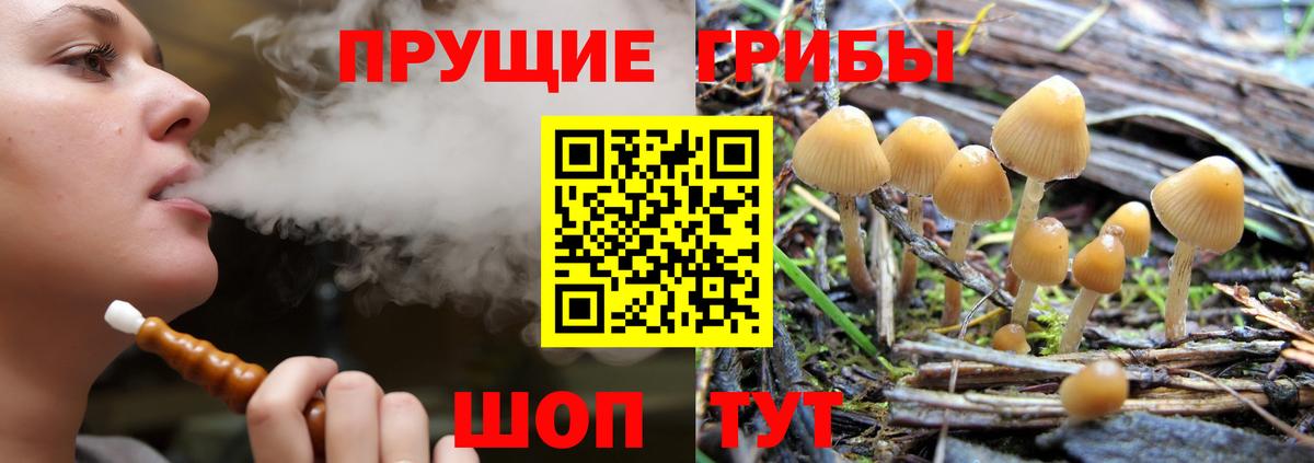 Галлюциногенные грибы Magic Shrooms  Галлюциногенные грибы Cubensis  Гатчина  Вход с VPN 