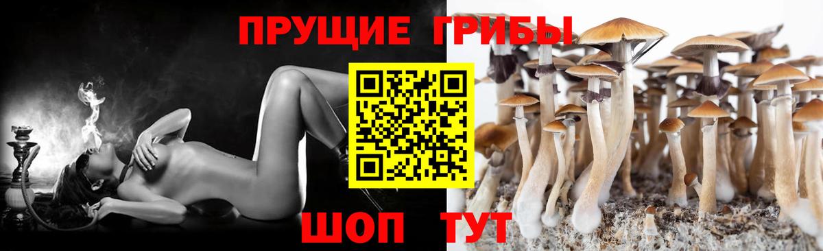 МДМА Гатчина