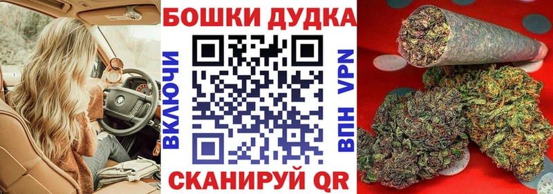 Каннабис гибрид  Гатчина 