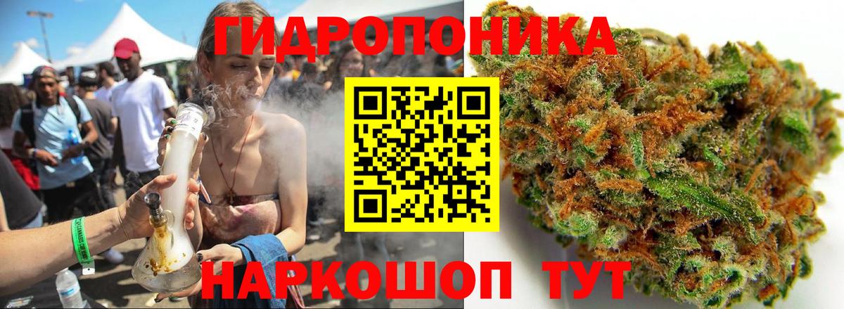 Каннабис MAZAR Гатчина